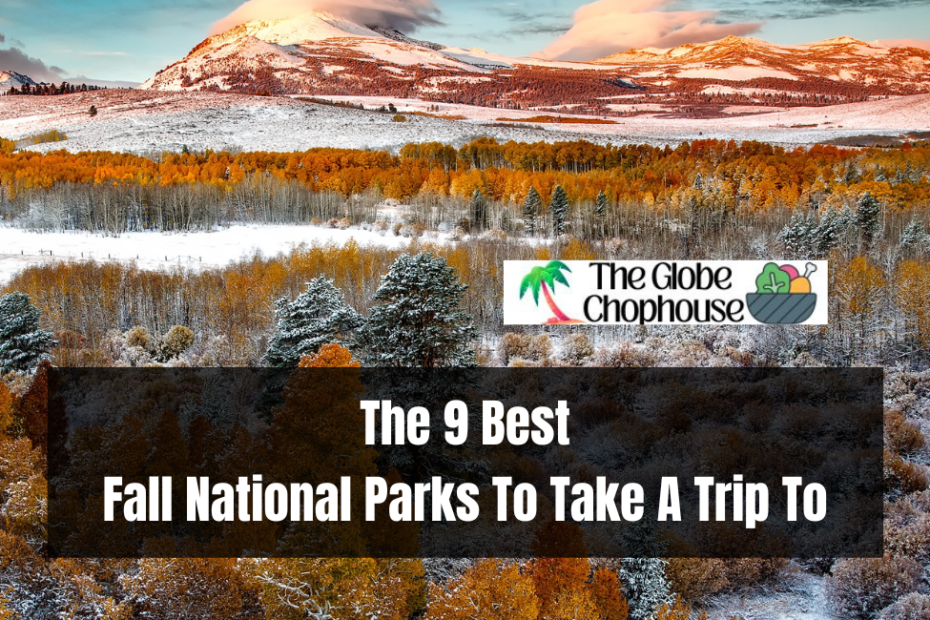 The 9 Best Fall National Parks To Take A Trip To