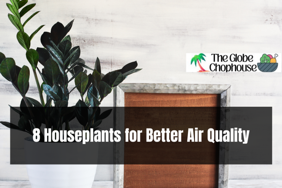 8 Houseplants for Better Air Quality