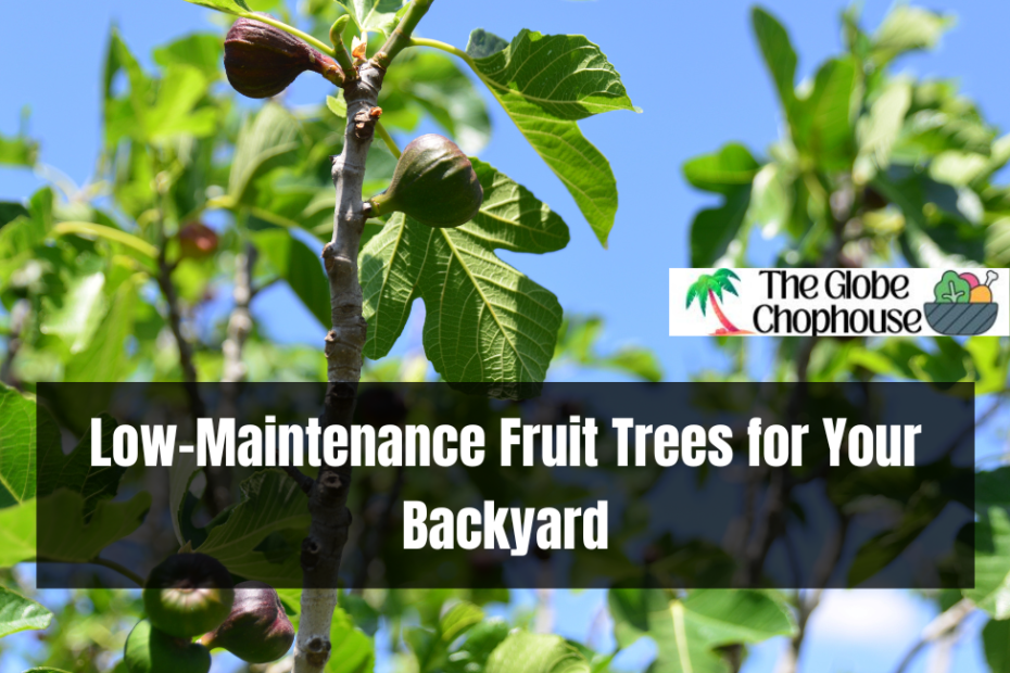 Low-Maintenance Fruit Trees for Your Backyard