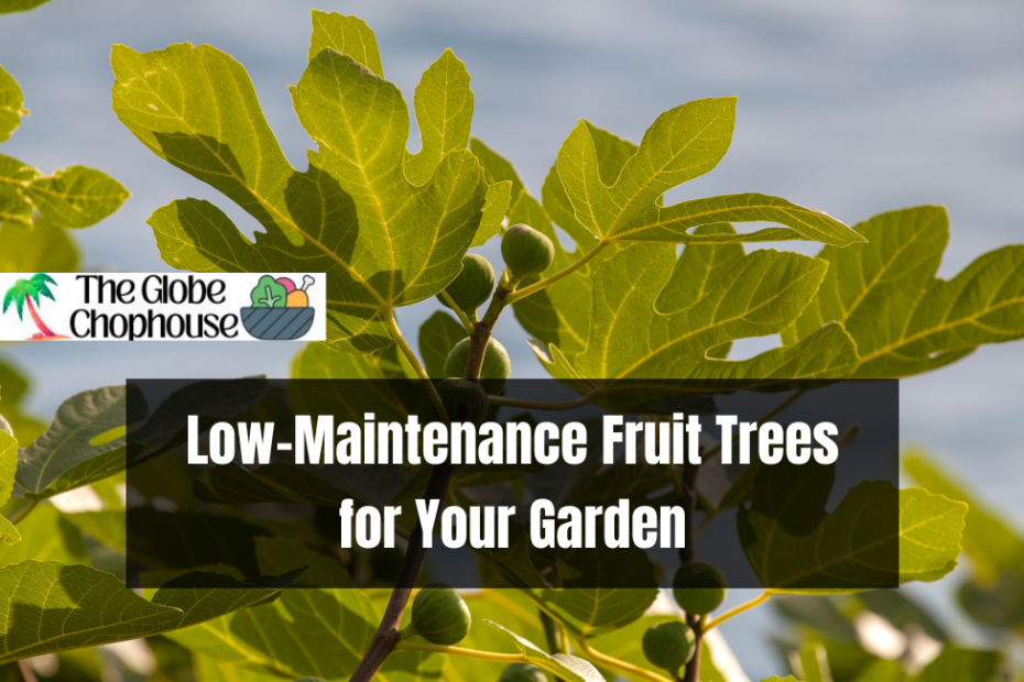 Low-Maintenance Fruit Trees for Your Garden