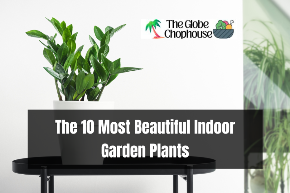 The 10 Most Beautiful Indoor Garden Plants