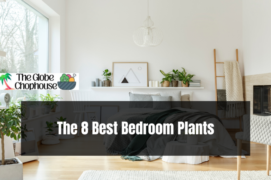 The 8 Best Bedroom Plants